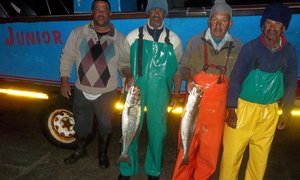 Uiteindelik, geelbek!